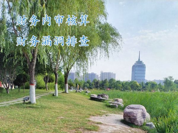 鄭州企業財務內審,鄭州公司內部審計