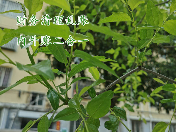 鄭州清理亂賬,鄭州清理企業賬目