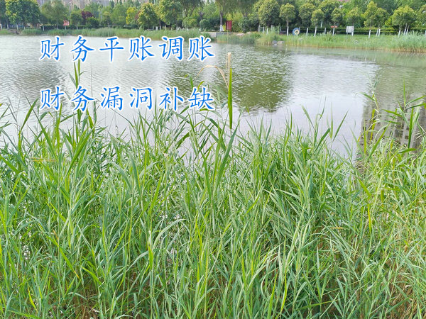 鄭州財務平賬,鄭州財務調賬