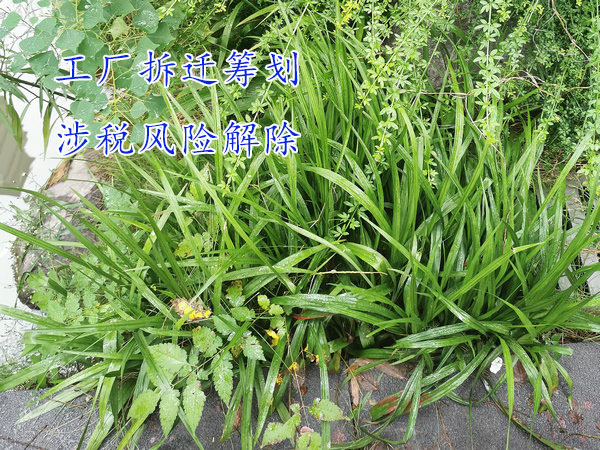 鄭州企業搬遷涉稅籌劃,鄭州工廠拆遷涉稅規劃