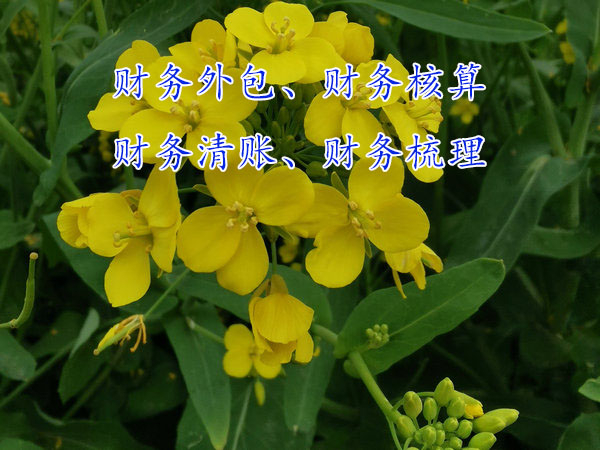 企業規模發展大了為什么要做財務外包？