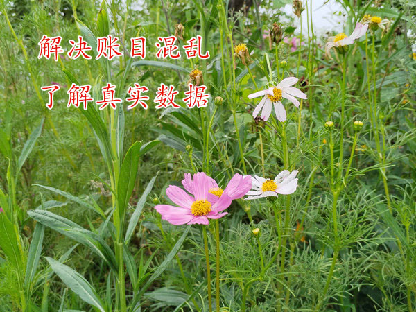 公司的財務賬目太亂怎么辦？