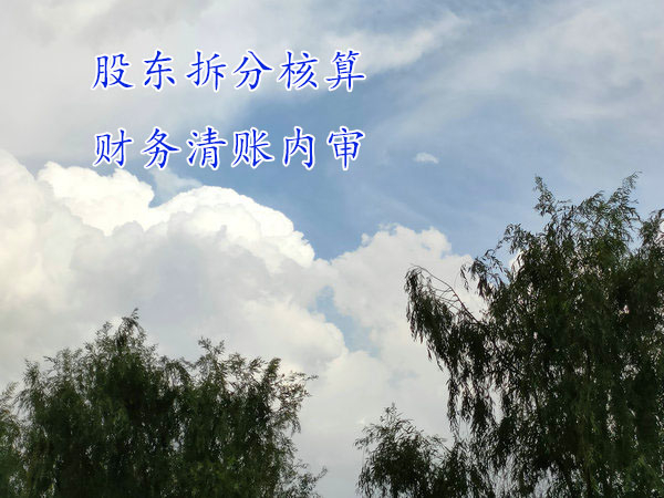 股東們想分家，財務上如何處理？