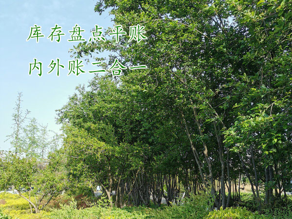 項目結(jié)束了想知道賺了多少錢，該怎么盤賬？